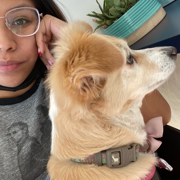 Meet your Posher, Lydia - Picture 3 of 5